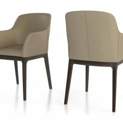 Colibri Dining/Bar Ann Dining Chair