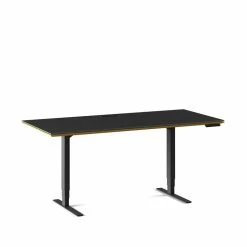 BDI Office Sequel 20 Lift Desk 6152